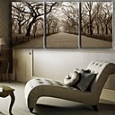 Toiles Art Paysage Le Central Park Lot de 3