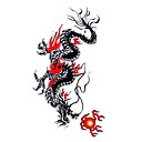 5 Pcs Black Dragon T...