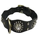 Luxe gros chien stra...