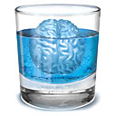 Gel de cerveau plateau de glace W16cm x L15cm x H3.5cm