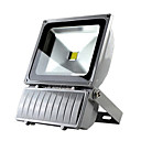 220V 100W LED blanc chaud exterieur d inondation impermeable l eau