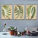 L art de Pteridophyte encadree Toile Lot de 3