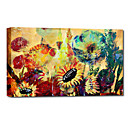 Main peinture l huile peinte Spring Floral sauvage avec colore avec cadre tendu