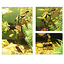 Aquarium Ornement No...