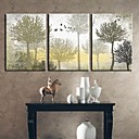 Toiles d art botanique The Silent arbres Lot de 3