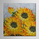 Main l huile peinte Peinture florale de fleur de Sun avec cadre etire