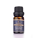 Rose Ylang sein Sha...