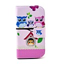 familles de hibou mi...