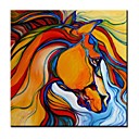 Toiles Art Colour Of The Horse