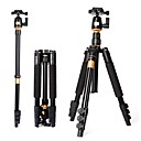 BEIKE portable professionnel Poids leger de magnesium aluminium trepied Manfrotto Q 555 BK 01 Rotule de transport de chargement 8 kg Sac Kit Max