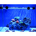 29CM economie denergie SuperBright LED Aquarium bocal poissons Lumieres de plongee couleurs assorties