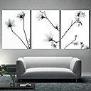 Toiles d art The Quiet Fleurs Lot de 3