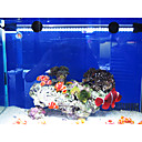 19CM economie denergie SuperBright LED Aquarium bocal poissons Lumieres de plongee couleurs assorties