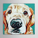 peinture l huile animaux animaux de compagnie chien avec toile peinte la main sur canevas tendu