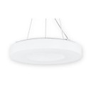 Pendant Lights 55W Warm-lumiere blanche simple moderne