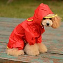 Lovely Red Raincoat ...