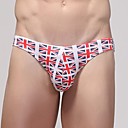 Mens Flag Briefs