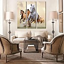 toile tendue cheval art de course jeu de 3