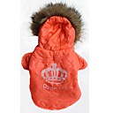 Big Crown Pattern Co...