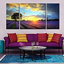 art de toile tendue sous le coucher du soleil de paysage lavande agricole lot de 3