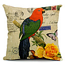 Parrot and Flower Co...