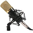 bm-700 son portable microphone enregistrement