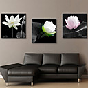 Reproduction transferee sur toile Art floral elegant Lotus Set de 3