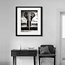 art de toile encadree elephant encadree impression sur toile