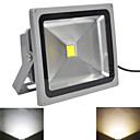 Waterproof 20W 2000LM Cold White Light and Warm White Light LED Flood L  85V-265V 