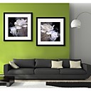 E-HOME Framed Canvas Art White Rose Framed Canvas Print Set of 2