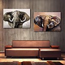 e-FOYER toile tendue art elephant peinture de decoration ensemble de 2