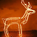 336 cerf lumiere de Noe