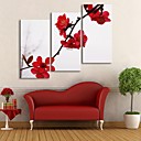 e-FOYER toile tendue art prune rouge fleur peinture de decoration ensemble de 3