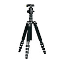 wen fan t-520 trepied Voyage portable pour SLR