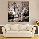 e-FOYER toile tendue rivieres d art et d arbres peinture decorative ensemble de 3