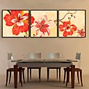 E-HOME Framed Canvas Art Flower Framed Canvas Print Set of  3