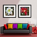 E-HOME Framed Canvas Art Lily Framed Canvas Print Set of 2