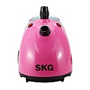 skg 1750W vetements professionnels Defroisseur vapeur de fer bs SS99 norme VDE