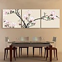 e-FOYER toile tendue art magnolia rose peinture de decoration ensemble de 3