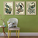 E-HOME Framed Canvas Art Peacock Framed Canvas Print Set of 3