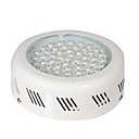 50w 50 Jardin LED pour toutes les plantes