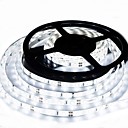 Tiras de luz led impermeables zdm 5m luces tiktok flexibles 300 leds 2835 smd 8mm blanco cálido blanco frío rojo azul verde cortable dc12 v ip65 autoadhesivo