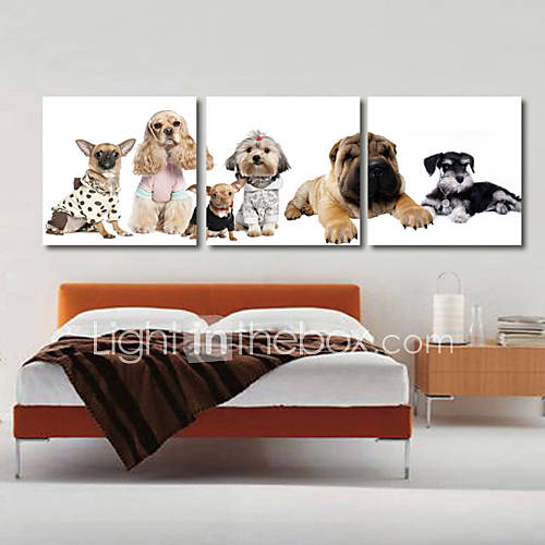 Stretched Canvas Art Animal Dogs Set of 3 652524 2016 48.99