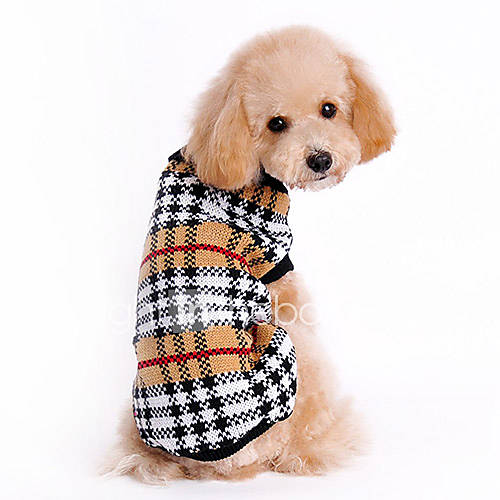 Image de Chat / Chien Pull Marron VÃªtements pour Chien Hiver / Printemps/Automne Tartan Classique / Garder au chaud
