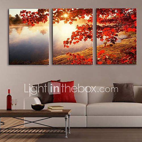 Stretched Canvas Print Art Landscape Tree by Lake Set of 3 851622 2016