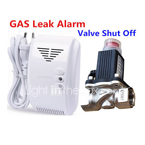 LPG Natural Gas Leak Detector Alarm With DN15 Solenoid