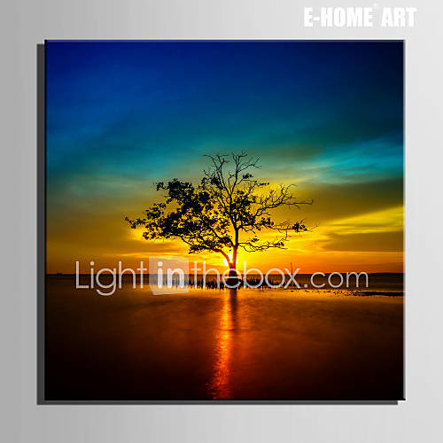 EHOME® Stretched Canvas Art Tree in The Water in The Setting Sun
