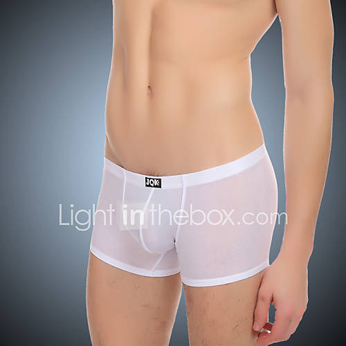 Image de Boxer Slip Pour des hommes Soie GlacÃ©e