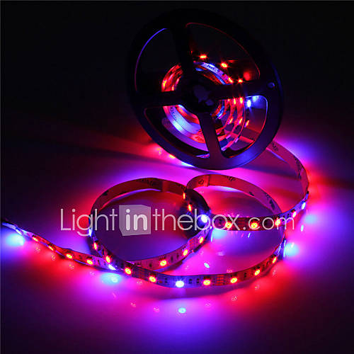 Image de 36W Lampes Horticoles LED 300 SMD 5050 lm Rouge / Bleu Etanches DC 12 V 1 piÃ¨ce