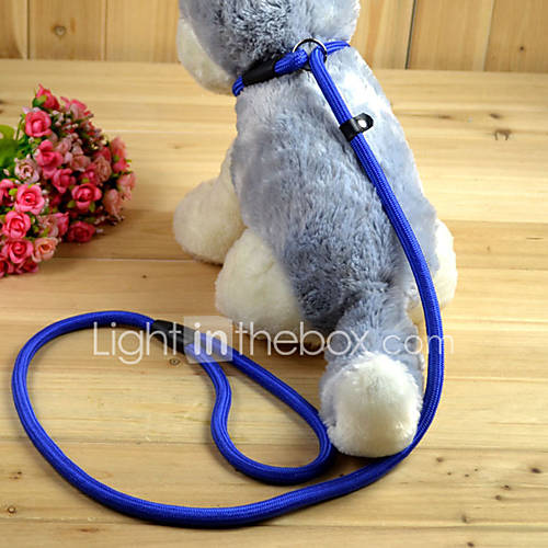 Image de Chat Chien Laisses Laisse Lasso Ajustable/RÃ©glable Solide Rouge Noir Bleu CafÃ© Nylon